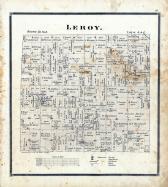 Leroy Township, Boone County 1886